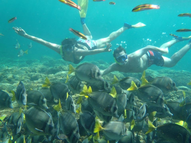  snorkeling in the reefs 